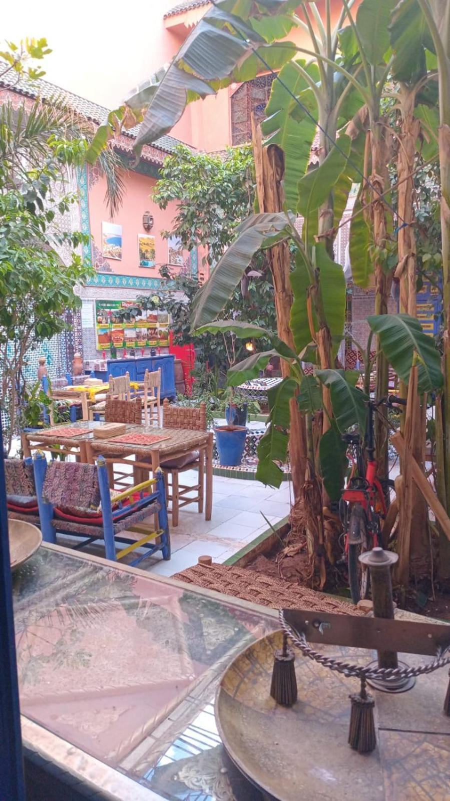 Riad Carole - Perfect For Families & Groups مراكش المظهر الخارجي الصورة