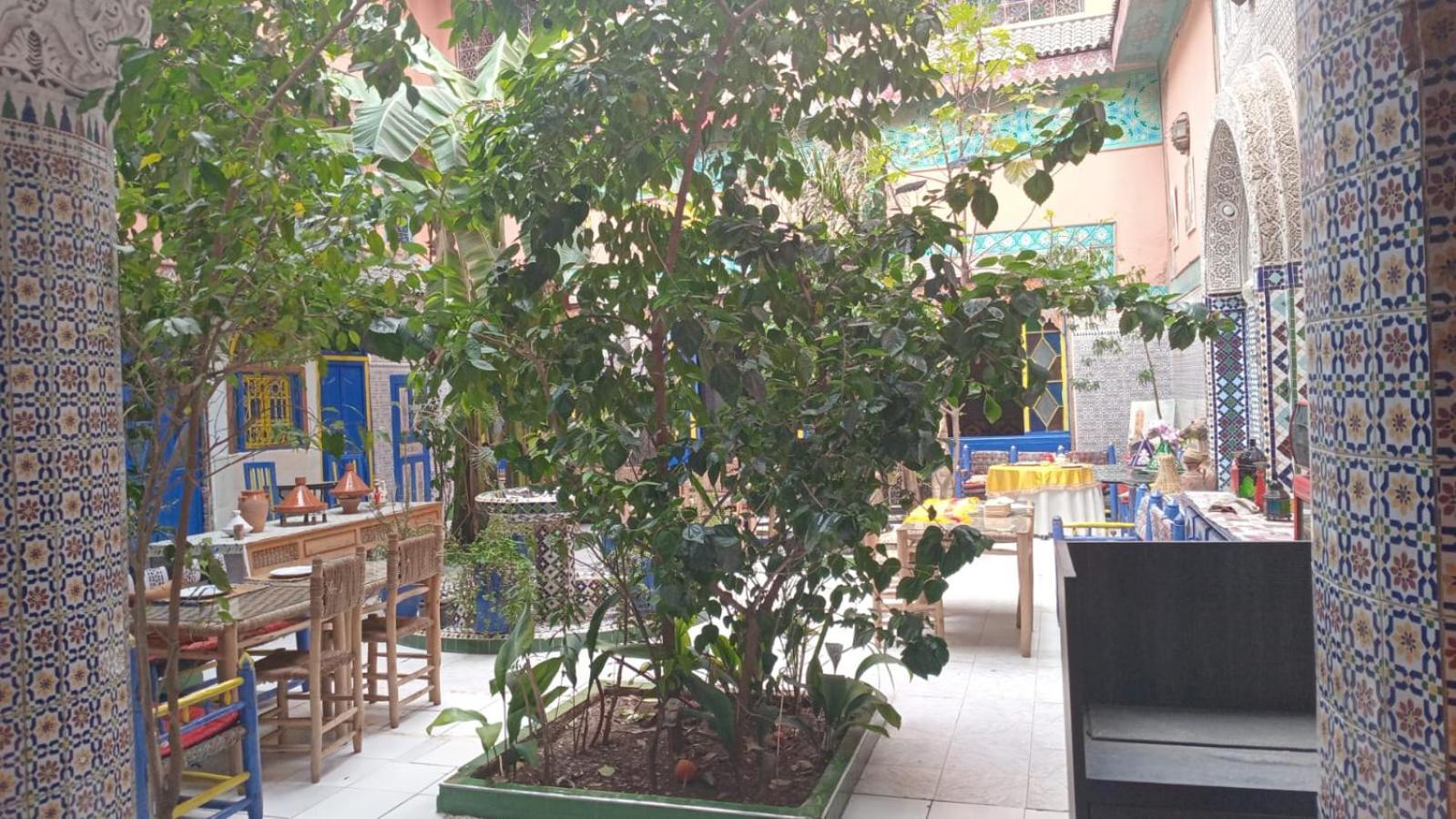 Riad Carole - Perfect For Families & Groups مراكش المظهر الخارجي الصورة